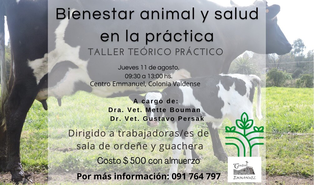 Invitación taller